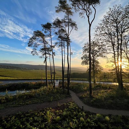 Loisium Wine & Spa Hotel Champagne Mutigny Kültér fotó