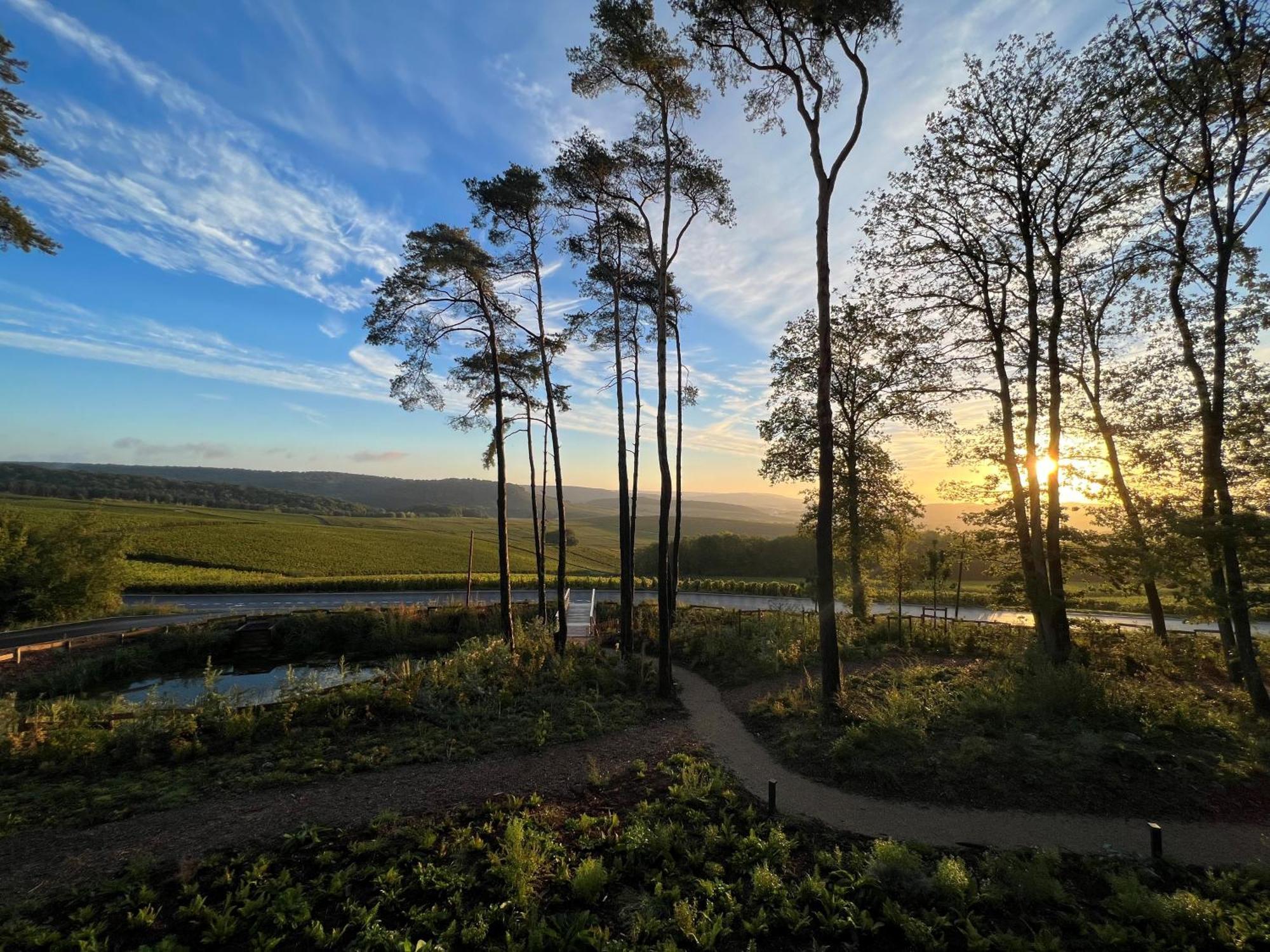 Loisium Wine & Spa Hotel Champagne Mutigny Kültér fotó